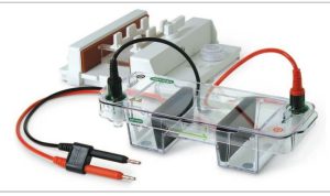 سیستم ژل الکتروفورز آگارز